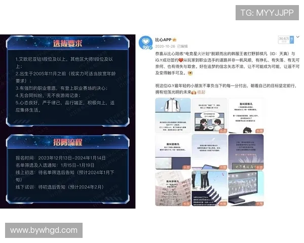 独家解析:BLG战队成员个人能力深度对比与分析